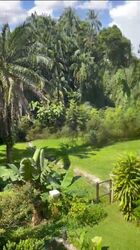28 Shelford (D11), Apartment #456510621